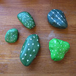 cactus2