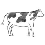 Bonhomme De Pain D Epice Coloriage